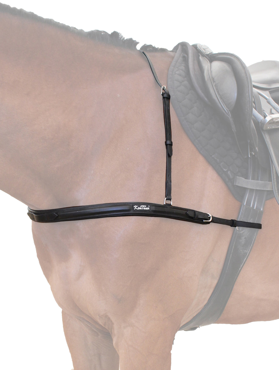 KENTAUR - Capri Breastplate