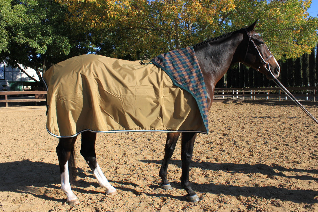 Prestige Elite Custom Show Rain Sheet