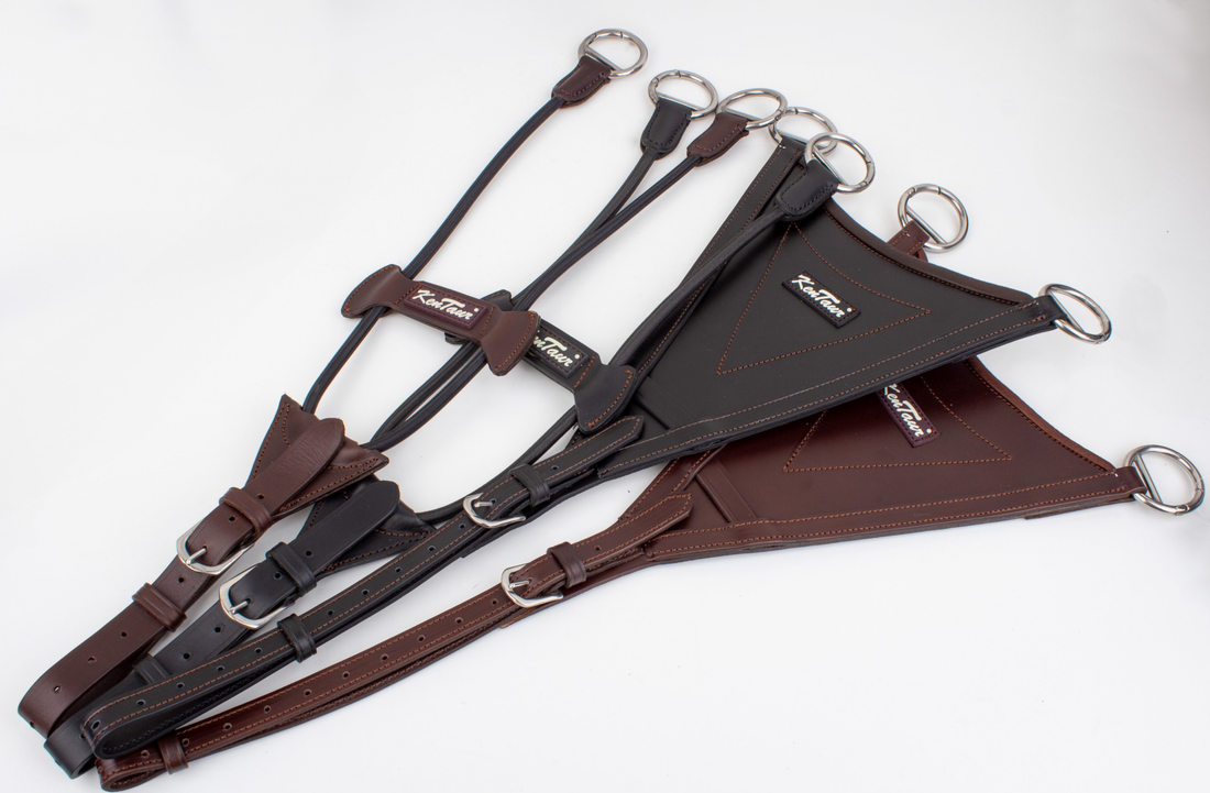 KENTAUR - Bib Martingale