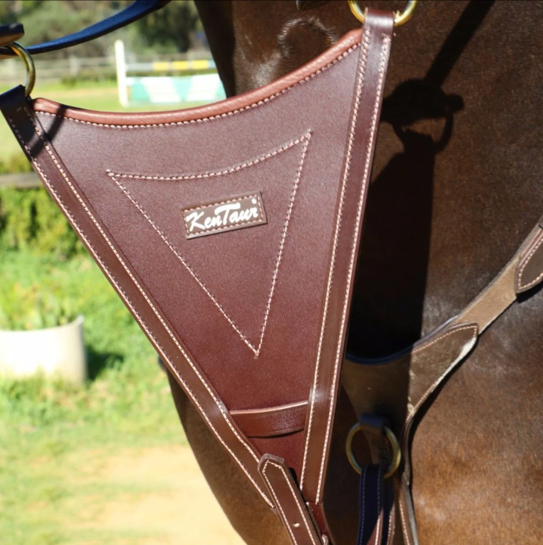 KENTAUR - Bib Martingale