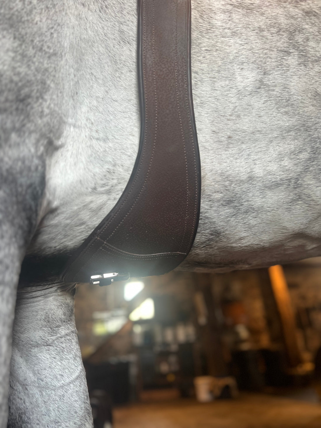 Maurel Sellerie - Long Anatomical Girth