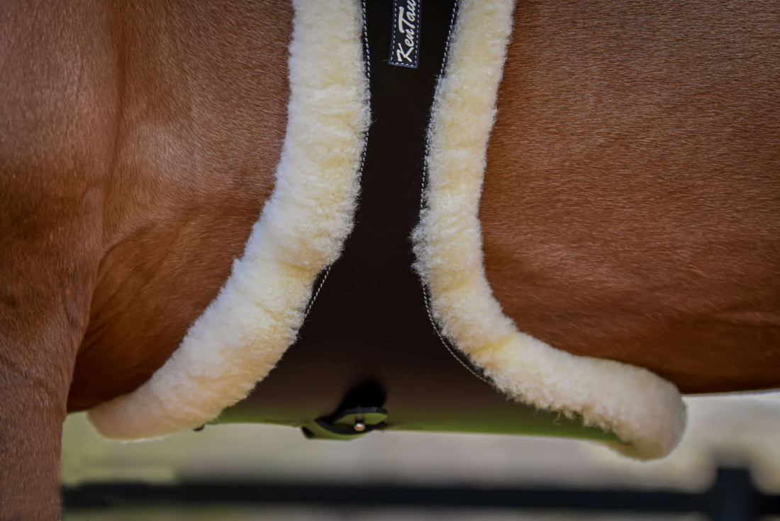 KENTAUR - Cassis Stud Girth Sheepskin ONLY
