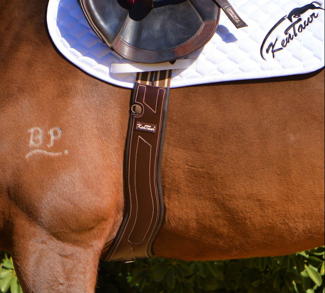 KENTAUR - Dijon Anatomic Girth