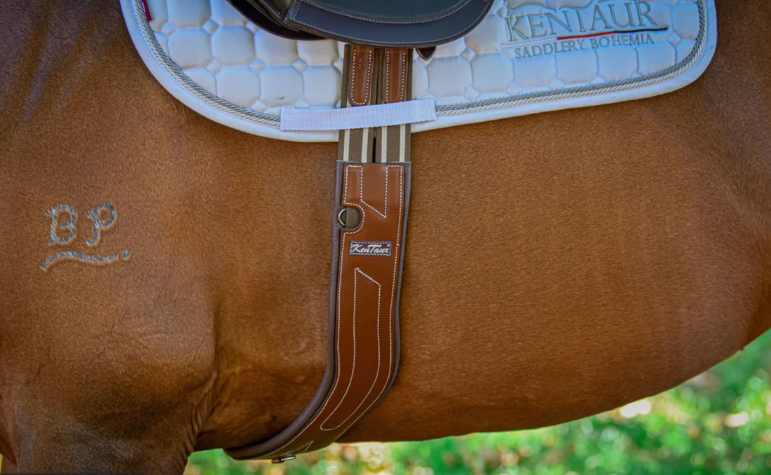 KENTAUR - Dijon Anatomic Girth