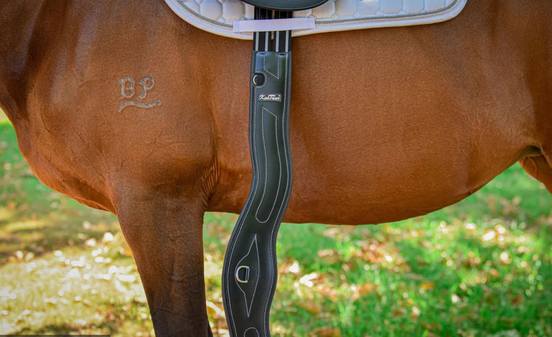 KENTAUR - Dijon Anatomic Girth