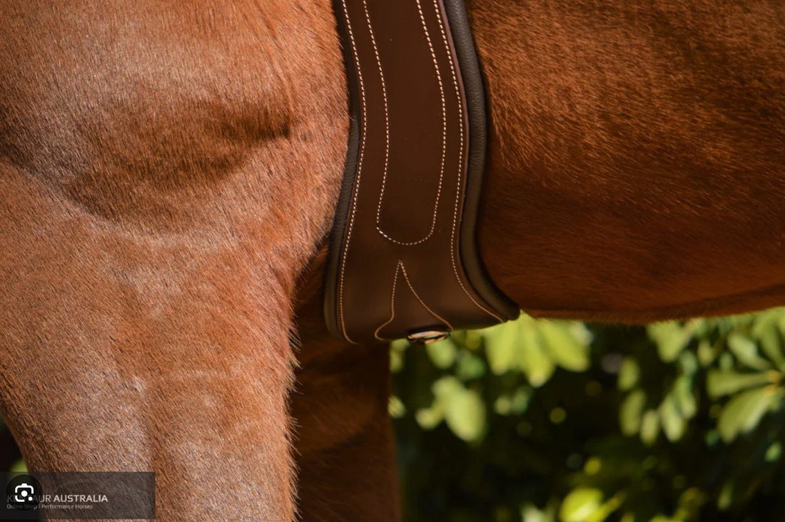 KENTAUR - Dijon Anatomic Girth