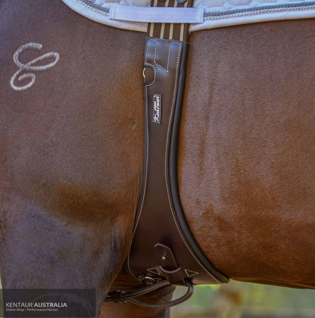 KENTAUR - Monaco Girth