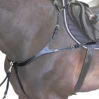 KENTAUR - Torino Breastplate