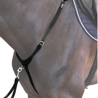 KENTAUR - Arras Breastplate