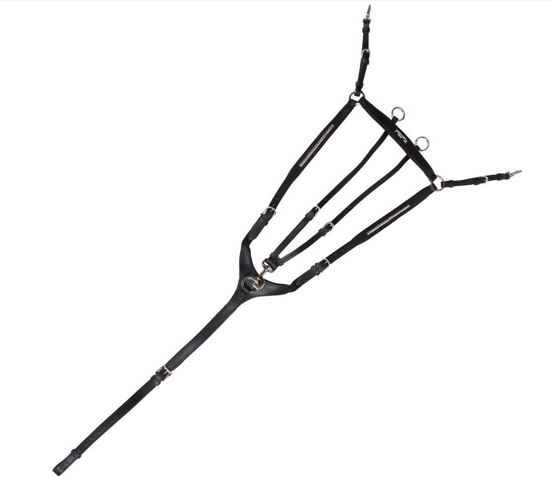 KENTAUR - Arras Breastplate