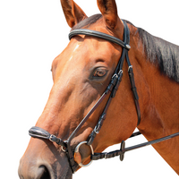 KENTAUR - Clarksville Bridle
