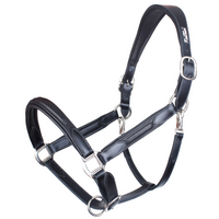 KENTAUR - Anatomical Leather Halter with Name Plate