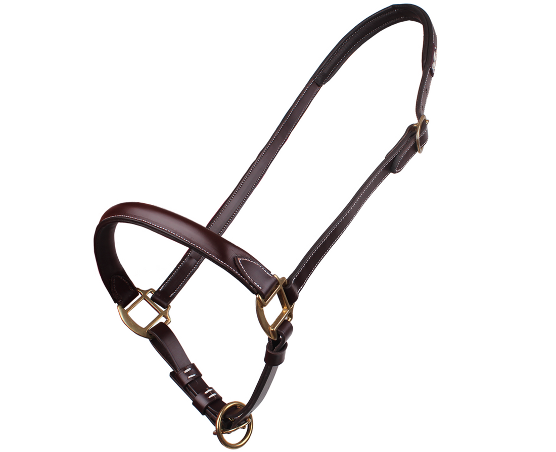 KENTAUR - Grooming Halter