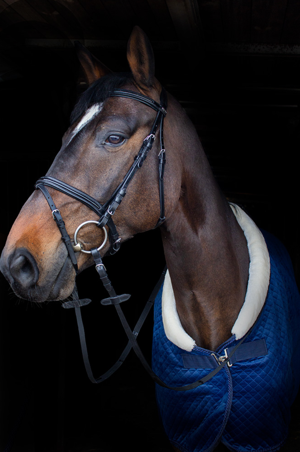 KENTAUR - Savannah Bridle