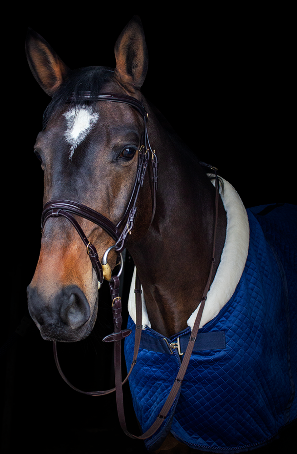 KENTAUR - Savannah Bridle