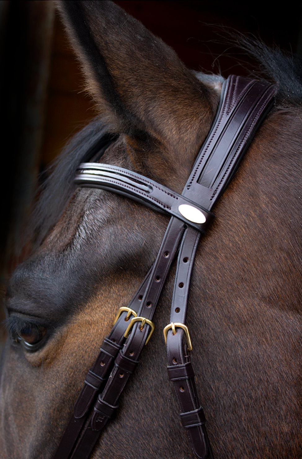 KENTAUR - Savannah Bridle