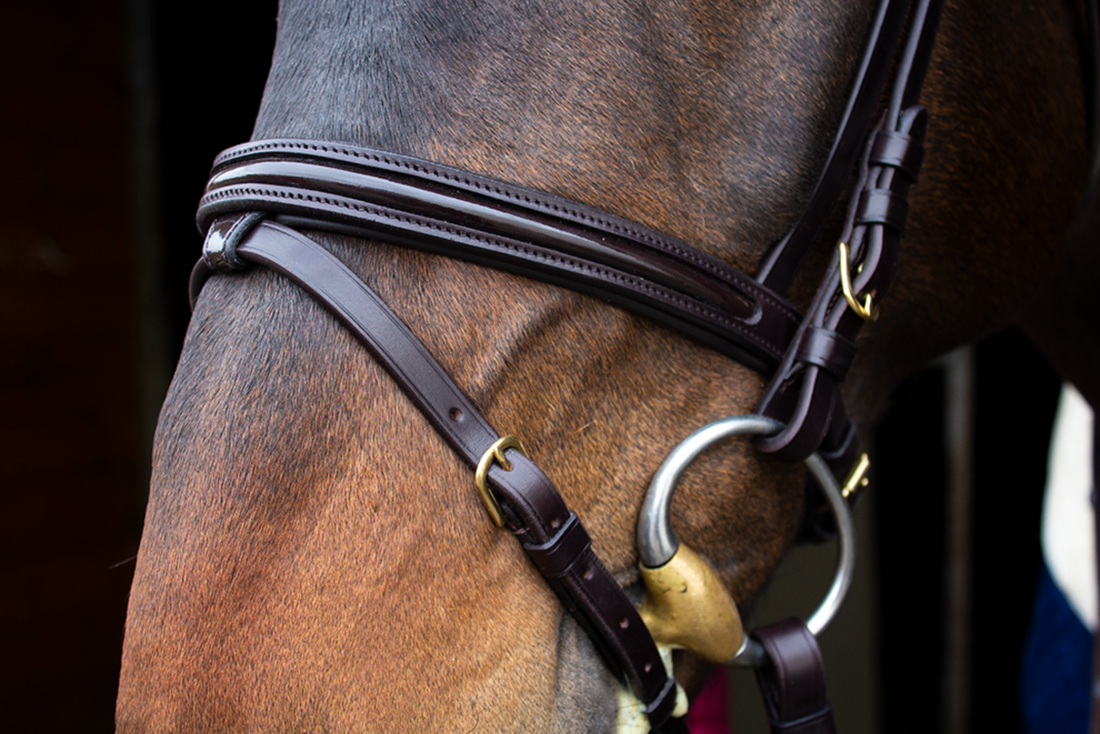 KENTAUR - Savannah Bridle