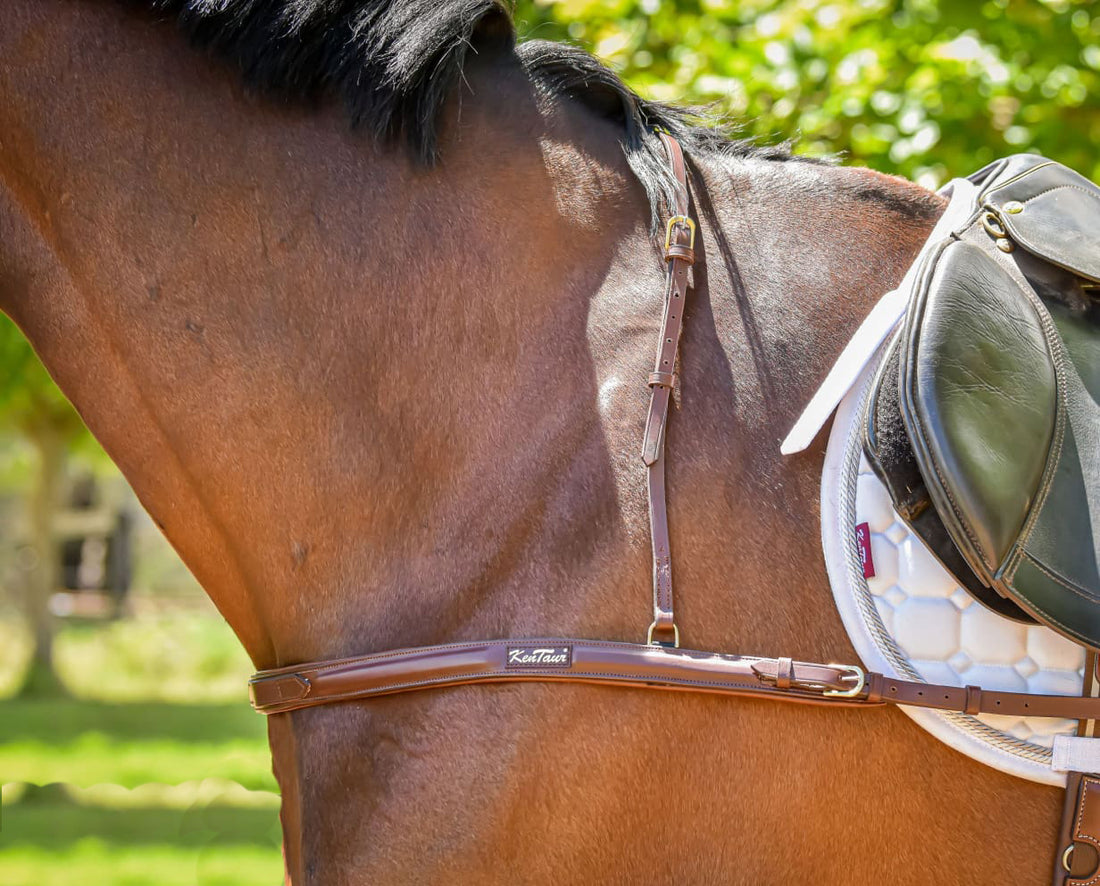 KENTAUR - Capri Breastplate