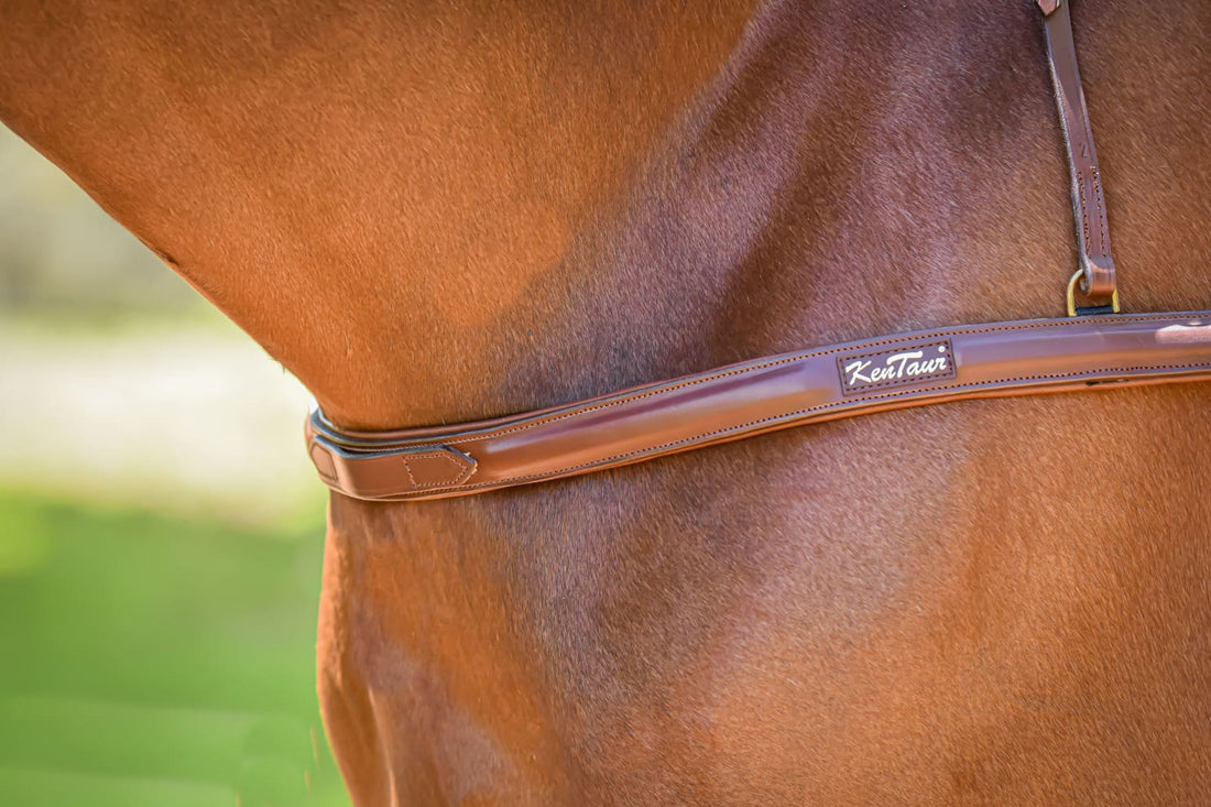 KENTAUR - Capri Breastplate