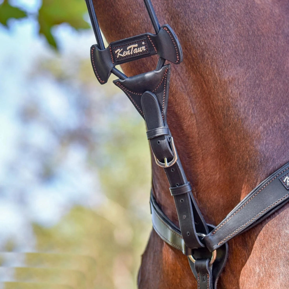 KENTAUR - Martingale Elastic with Snap Hook Ring