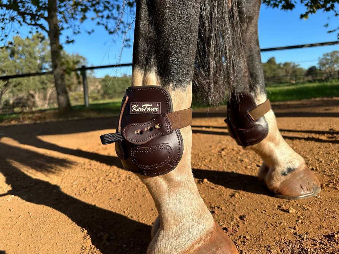 KENTAUR - Flicker 14cm Hind Boot
