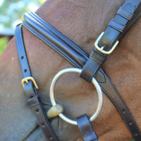 KENTAUR - Hamilton Bridle
