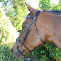 KENTAUR - Hamilton Bridle