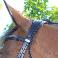 KENTAUR - Hamilton Bridle