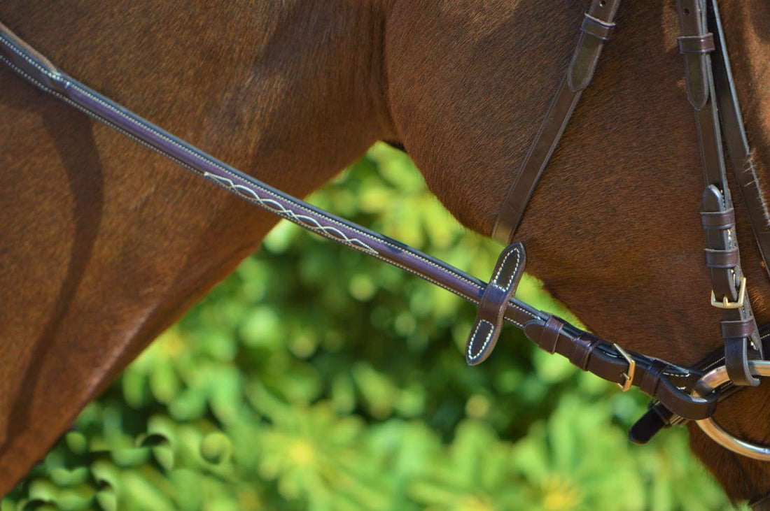 KENTAUR - Hartford Bridle