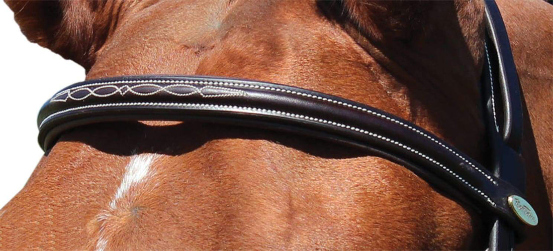 KENTAUR - Hartford Bridle