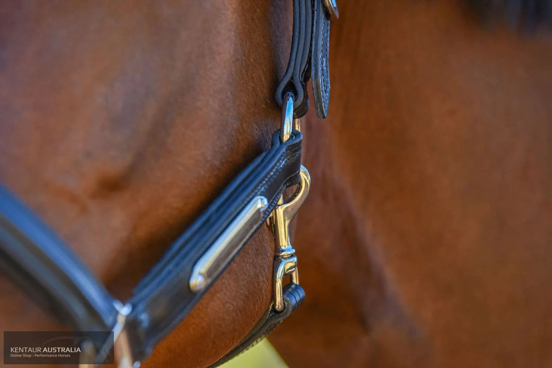 KENTAUR - Anatomical Leather Halter with Name Plate