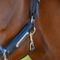 KENTAUR - Anatomical Leather Halter with Name Plate