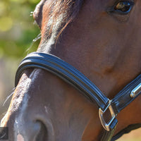 KENTAUR - Anatomical Leather Halter with Name Plate