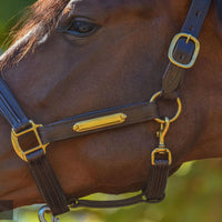 KENTAUR - Anatomical Leather Halter with Name Plate