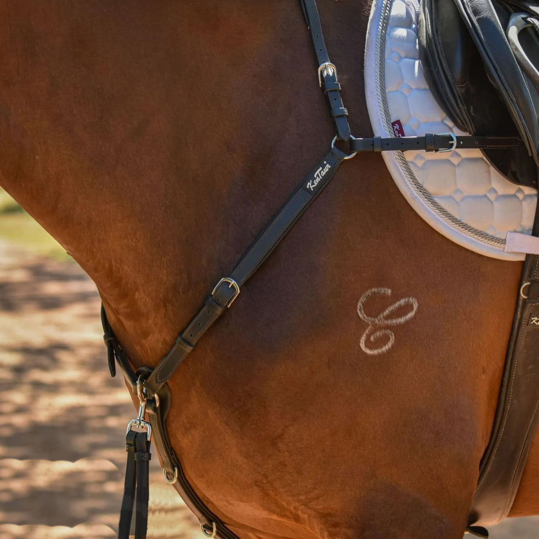 KENTAUR - Mons Breastplate