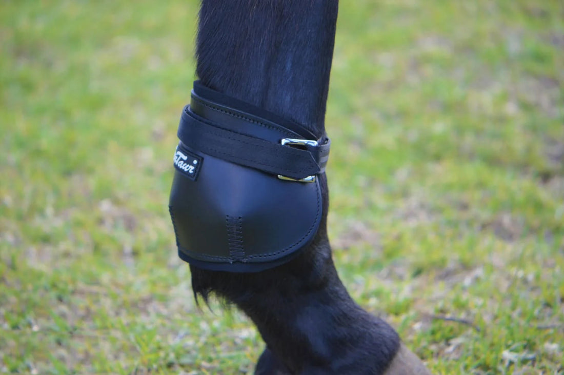KENTAUR -Short Fetlock Pinch Boot 12cm