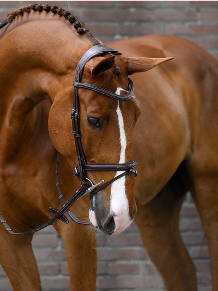 PS OF SWEDEN - Stockholm Bridle