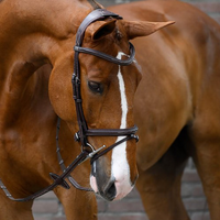 PS OF SWEDEN - Stockholm Bridle