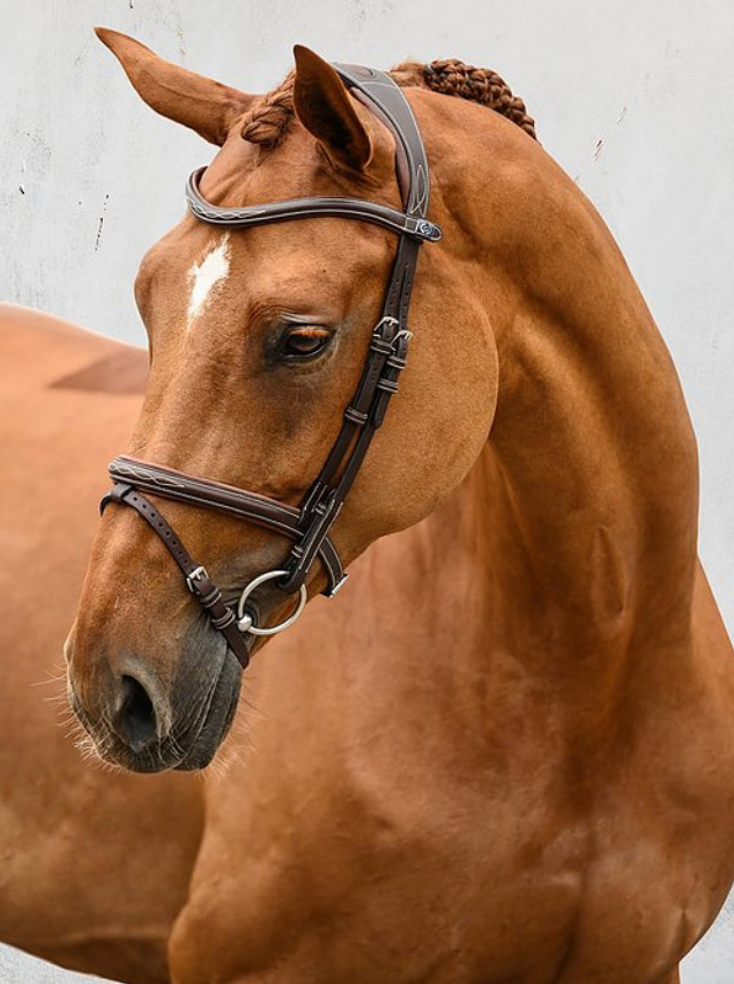 PS OF SWEDEN - Stockholm Bridle