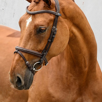 PS OF SWEDEN - Stockholm Bridle