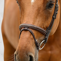 PS OF SWEDEN - Stockholm Bridle