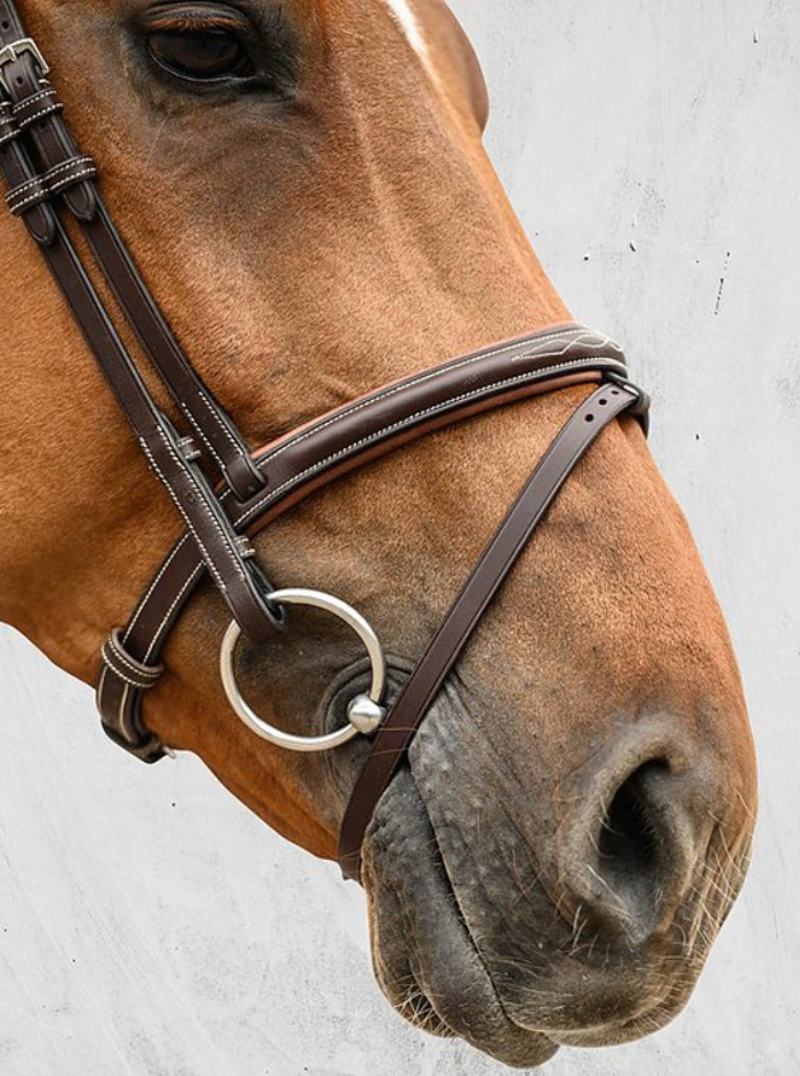 PS OF SWEDEN - Stockholm Bridle