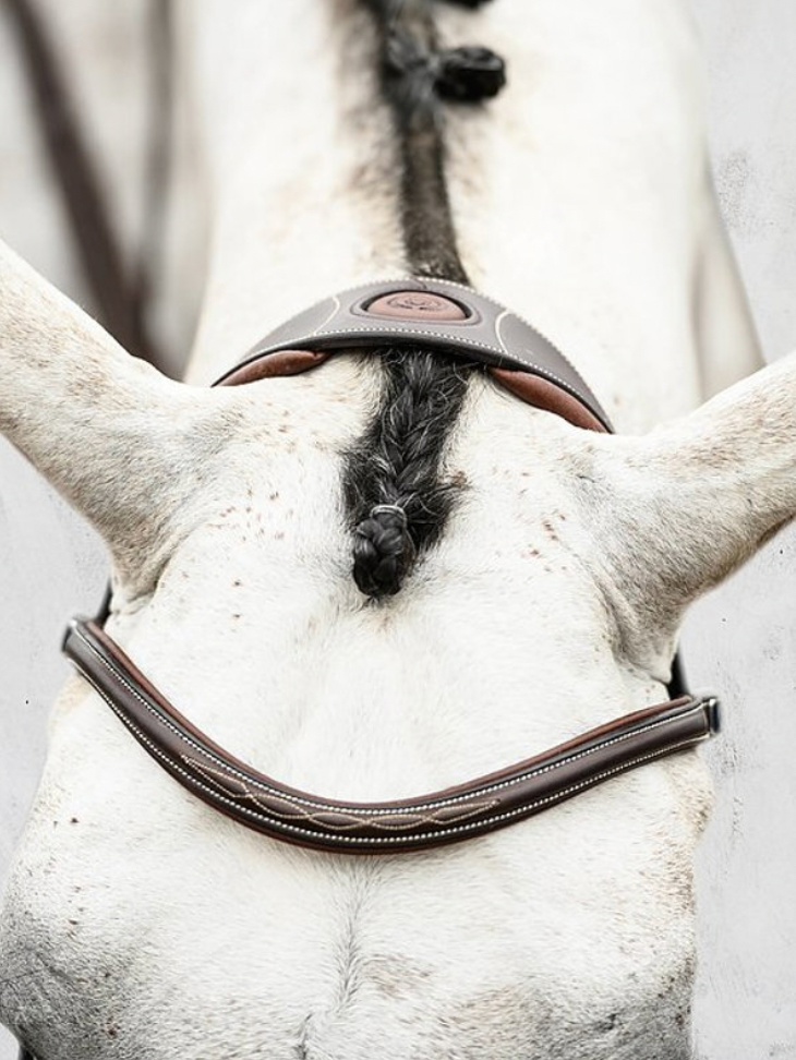 PS OF SWEDEN - Stockholm Bridle