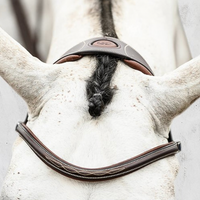 PS OF SWEDEN - Stockholm Bridle