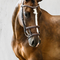 PS OF SWEDEN - Paris Bridles