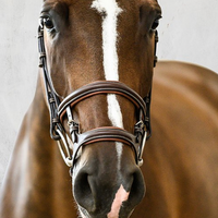 PS OF SWEDEN - Paris Bridles