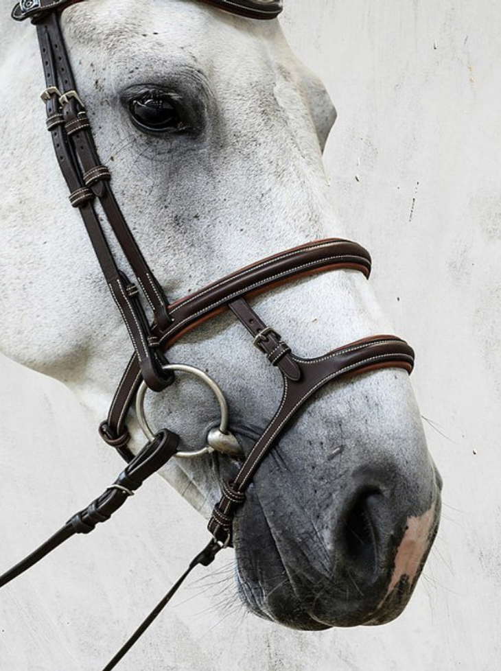 PS OF SWEDEN - Paris Bridles