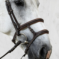 PS OF SWEDEN - Paris Bridles