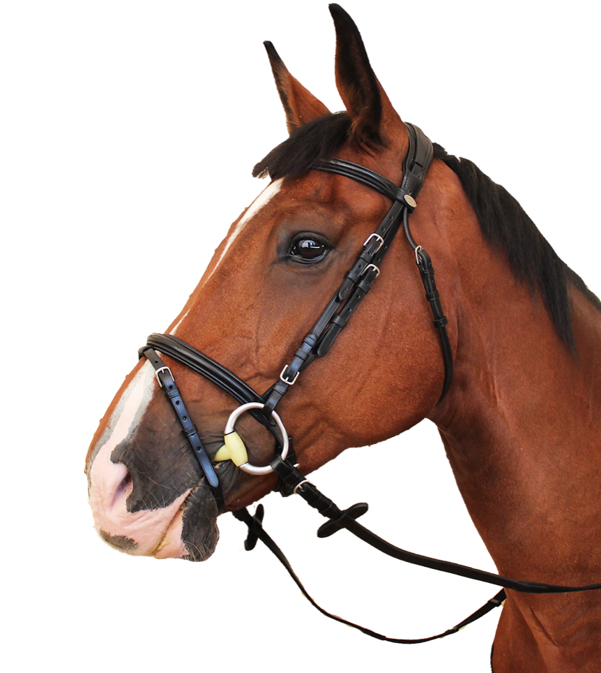 KENTAUR - Tryon Bridle