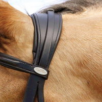 KENTAUR - Hamilton Bridle